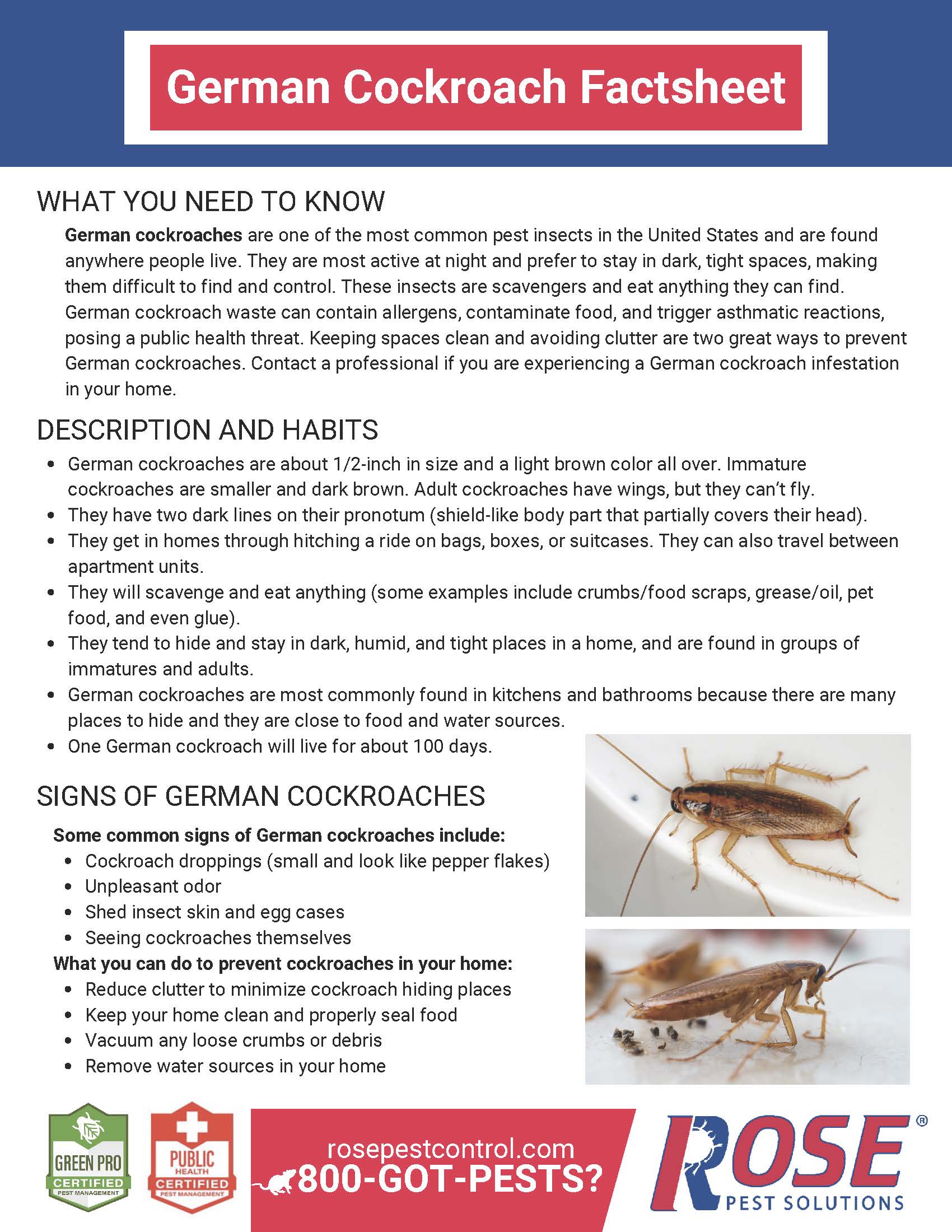 german cockroach fact sheet