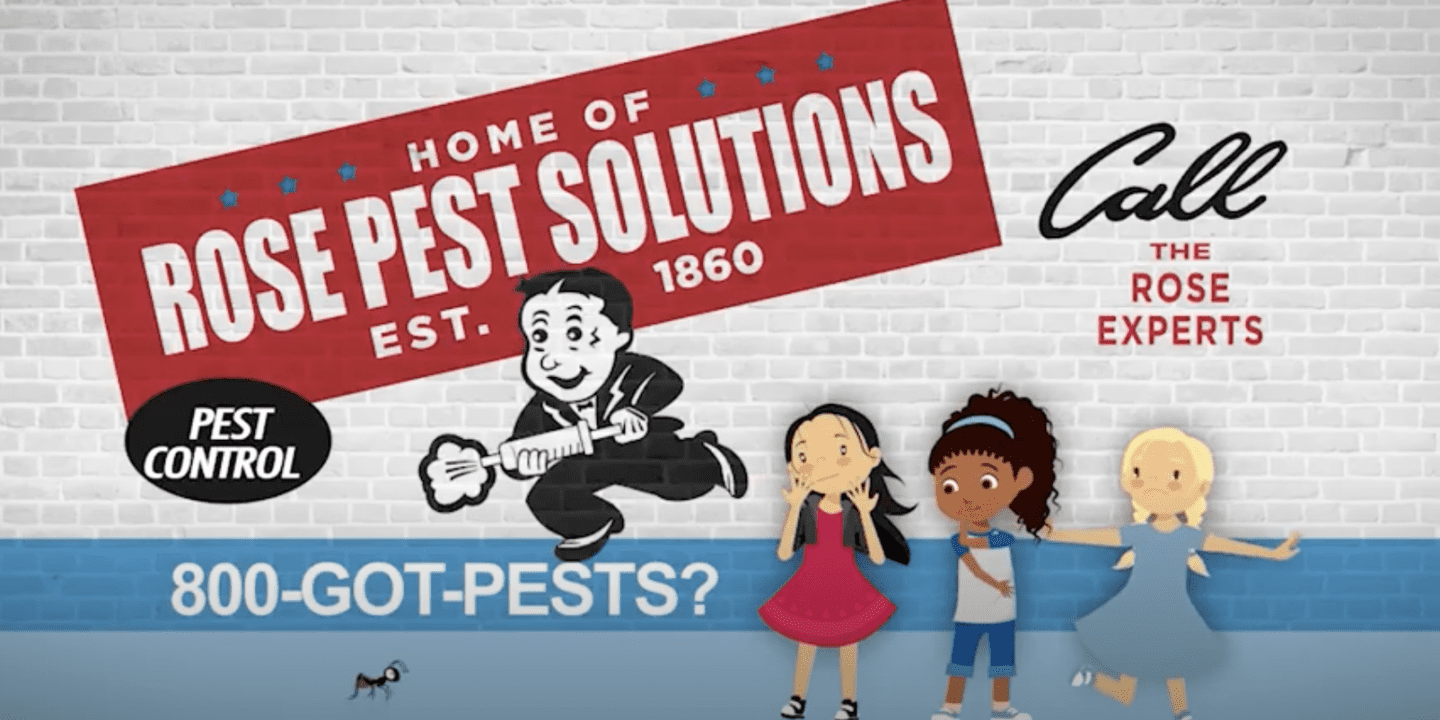 A cartoon ad for Rose Pest Solutions features the bug girls reacting to an ant, with contact info and the slogan "800-GOT-PESTS?" displayed on a brick wall background.
