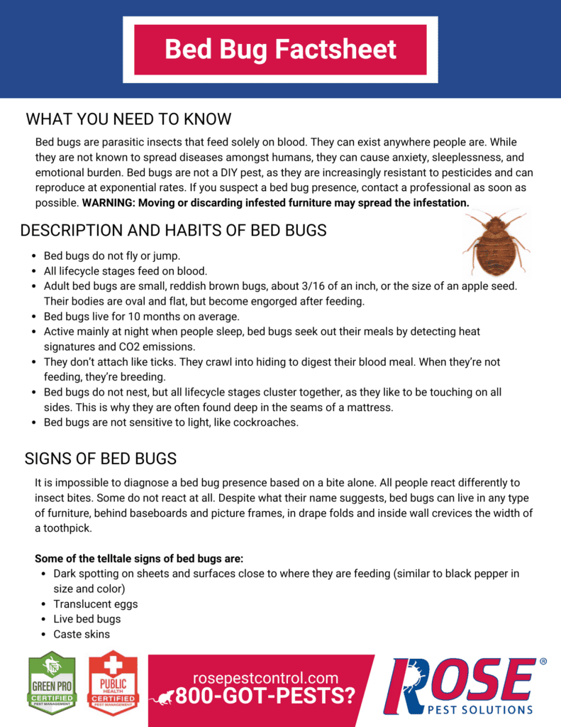An informational factsheet about bed bugs, detailing their appearance, habits, hiding places, signs of presence, and a warning about DIY pest control. Features Rose Pest Solutions branding and expert bed bug solutions for effective treatment.