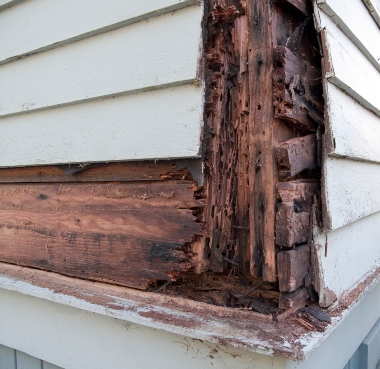 Exterior house wall with severe termite damage and rotting wood